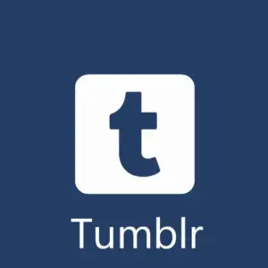 Bay tumblr followers